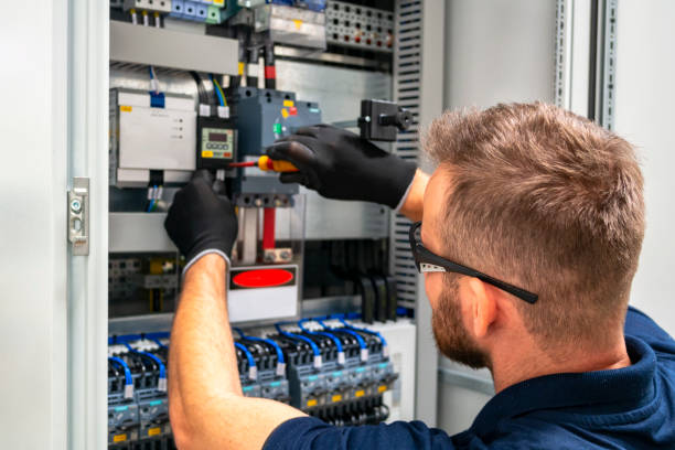 Best Electrical System Inspection  in Old Fig Garden, CA